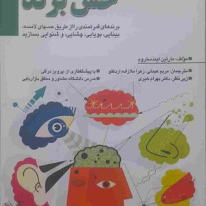 حس برند، مولف: مارتین لیندستروم