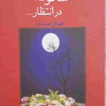 سکوت در انتظار، مهناز صیدی