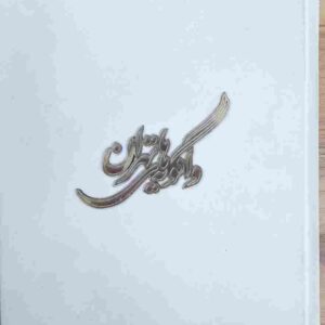 واگویه های تهران، مرتضی صدیق