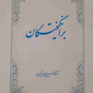 برانگیختگان، محمدحسین ضیائی بیگدلی